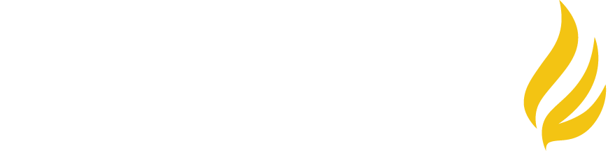 Larson Capital